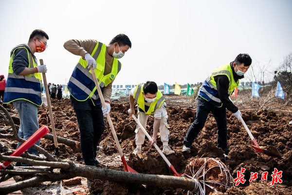 49504b58b5fb82c44bb30a0fe9cc17c5.jpeg 49504b58b5fb82c44bb30a0fe9cc17c5.jpeg